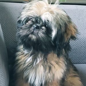 Meet your Posher, Gabby